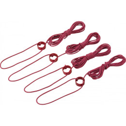 Zeltschnur MSR Tent GuyLines 4Stk