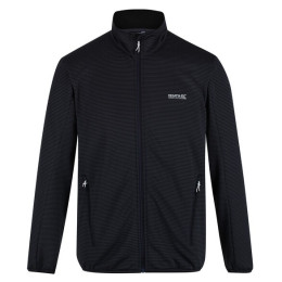 Herren-Sweatshirt Regatta Highton Lite schwarz India Grey