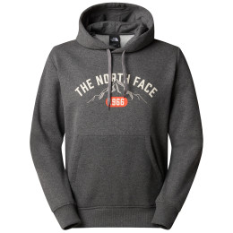 Herren-Sweatshirt The North Face M Hoodie Varsity Graphic grau TNF MEDIUM GREY HEATHER