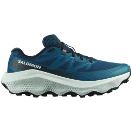 Herrenschuhe Salomon Ultra Flow 2