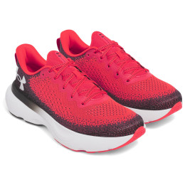 Herren Laufschuhe Under Armour Infinite rot Racer Red / Castlerock / White