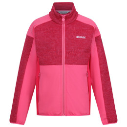 Kinder-Sweatshirt Regatta Jn Highton FZ III