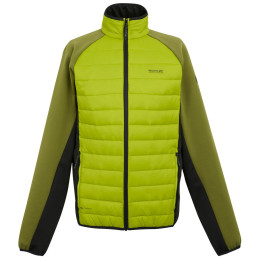 Herrenjacke Regatta Clumber IV Hybrid hellgrün GrnbGn/NphGn