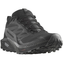 Herren Laufschuhe Salomon Sense Ride 5 Gore-Tex schwarz Black / Magnet / Black