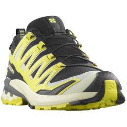 Wanderschuhe Salomon Xa Pro 3D V9 Gore-Tex grün Black
