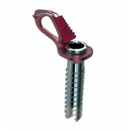 Eisschraube Blue Ice Aero Lite Ice Screw 10 cm rot Red