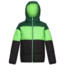 Kinderjacke Regatta Lofthouse VII grün/schwarz Eden/Jasmine Green