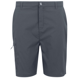 Herrenshorts Regatta Dalry Short grau Seal Grey