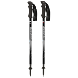 Trekkingstöcke Fizan Compact grau/schwarz grey