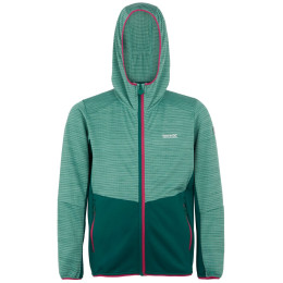 Kinder-Sweatshirt Regatta Prenton III grün DstyGn/RnFst