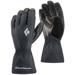 Handschuhe Black Diamond Glissade (2020) schwarz Black