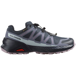 Damen Laufschuhe Salomon Speedcross Peak Gore-Tex