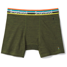 Herren funktionelle Boxershorts Smartwool M Merino Sport 150 Boxer Brief Boxed grün MossGreenHeather