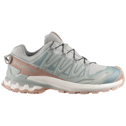 Damenschuhe Salomon Xa Pro 3D V9 Gore-Tex Lifelong