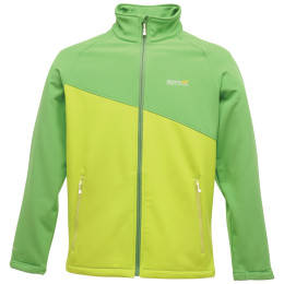 Herrenjacke Regatta Nebraska Softshell grün