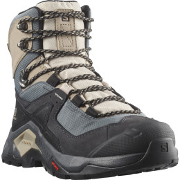 Damenschuhe Salomon Quest Element Gore-Tex grau Ebony