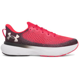 Herren Laufschuhe Under Armour Infinite
