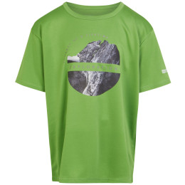 Kinder-T-Shirt Regatta Alvarado VIII grün Piquant Green