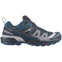 Herrenschuhe Salomon X Ultra 360 Gore-Tex