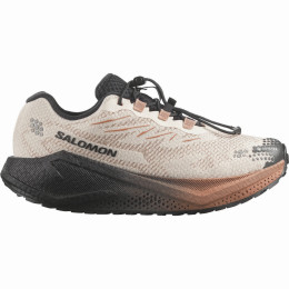 Damen Laufschuhe Salomon Aero Blaze 4 Grvl GTX W