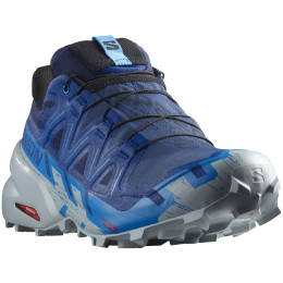 Herren Laufschuhe Salomon Speedcross 6 Gore-Tex