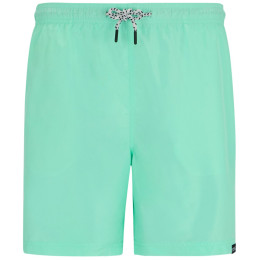 Herrenshorts Regatta Mackleyna Swim Short