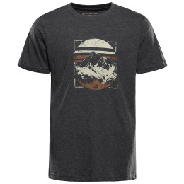 Herren-T-Shirt Alpine Pro Grem 3 schwarz Black