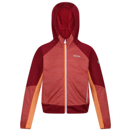 Kinder-Sweatshirt Regatta Prenton II rot Mineral Red/Rumba Red