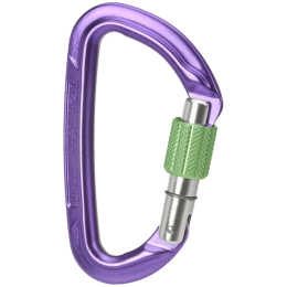 Karabiner Wild Country Session Screw Gate lila purple/green