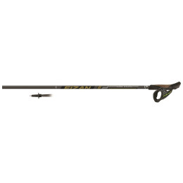 Nordic Walking Stöcke Fizan NW Runner (2024) gold Gold