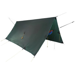 Plane Ticket to the Moon Full Moon Tarp grün