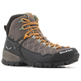 Damenschuhe Salewa WS Alp Trainer MID GTX