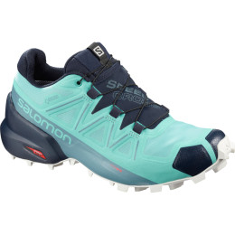 Damenschuhe Salomon Speedcross 5 GTX W