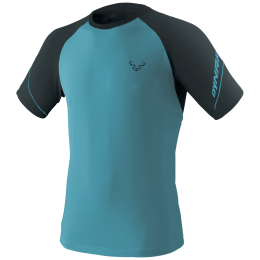 Herren-Funktionsshirt Dynafit Alpine Pro M blau/grau storm blue