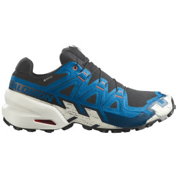 Herren Laufschuhe Salomon Speedcross 6 Gore-Tex