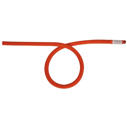 Kletterseil Camp Genius 9.0 Dry - 80m