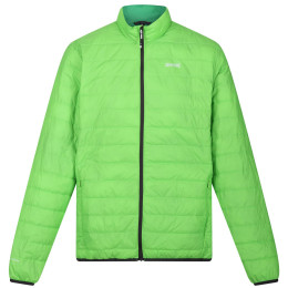 Herrenjacke Regatta Hillpack grün Jasmine Green (Field Green)