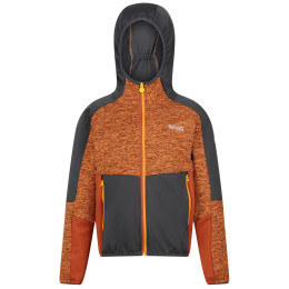 Kinder-Sweatshirt Regatta Dissolver VII orange Orange Pepper/Seal Grey