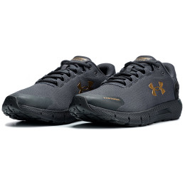 Herrenschuhe Under Armour Charged Rogue 2 Storm