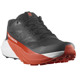 Herren Trekkingschuhe Salomon Pulsar schwarz Black / White / Cherry Tomato
