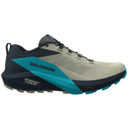 Herren Laufschuhe Salomon Sense Ride 5 grau/blau Alfalfa