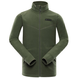 Herren-Sweatshirt Alpine Pro Cassius 4 grün