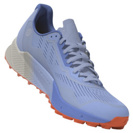 Damenschuhe Adidas Terrex Agravic Flow 2 GTX W hellblau Bludaw/Blufus/Corfus