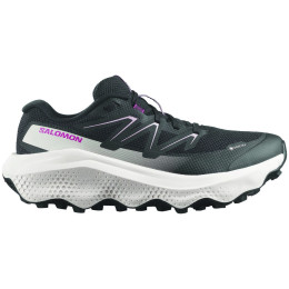 Damen Laufschuhe Salomon Ultra Flow 2 Gore-Tex