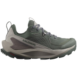 Damenschuhe Salomon Elixir Gore-Tex grün Urban Chic / Flint Gray / Plum Kitten