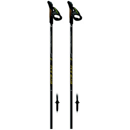 Nordic Walking Stöcke Fizan Running gold Gold