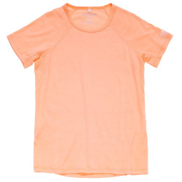 Damen-T-Shirt Devold Endurance Merino 130 Tee Wmn hellrosa SUNRISE