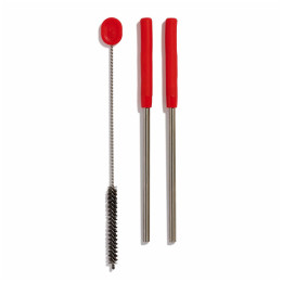 Strohhalme Hydro Flask Stainless Steel Straw Set Goji