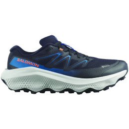 Herrenschuhe Salomon Ultra Flow 2 Gore-Tex