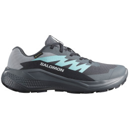 Damenschuhe Salomon Alphaglide Gore-Tex grau/blau Turbulence / Aruba Blue / Dark Navy